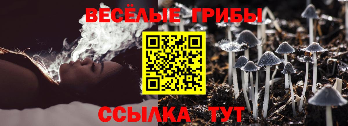 закладки  Вход с VPN  Елабуга  Галлюциногенные грибы MAGIC MUSHROOMS 
